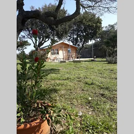 Chalet Climatise Santa Maria A Bonifacio Bonifacio  Exterior foto