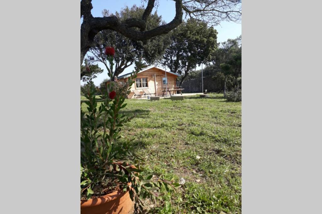 Climatise Santa Maria A Ferienhaus